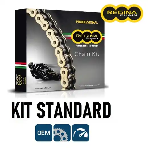 Reso Gratuito Aprilia 750 dorsoduro 750 kit catena corona pignone regina 2008 2012