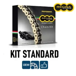 Kawasaki kle 650 versys 650 regina kit catena corona pignone 2007 2016 Spedizione Espresso