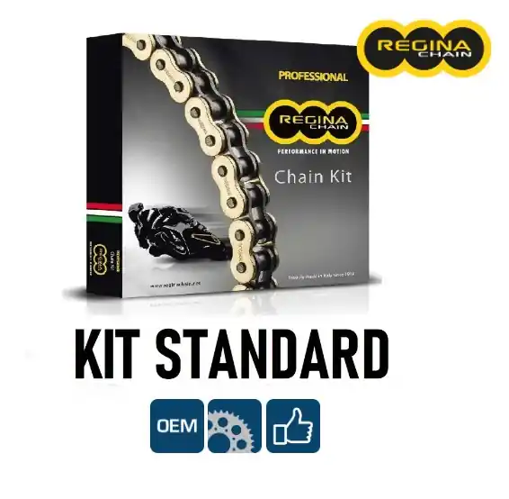 Kawasaki kle 650 versys 650 regina kit catena corona pignone 2007 2016 Spedizione Espresso