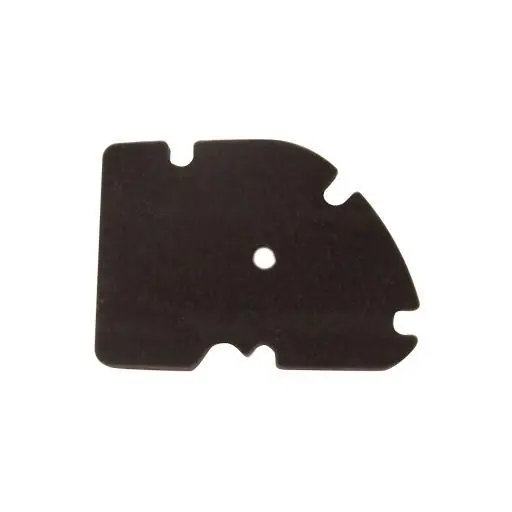 Acquista Ora Peugeot satelis 250 ie 250 filtro aria hokio 2006 2011