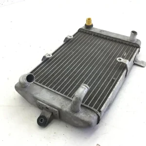 Compra Oggi Stesso Suzuki burgman an 250 radiatore acqua liquido raffreddamento motore 2006 2006 bv111