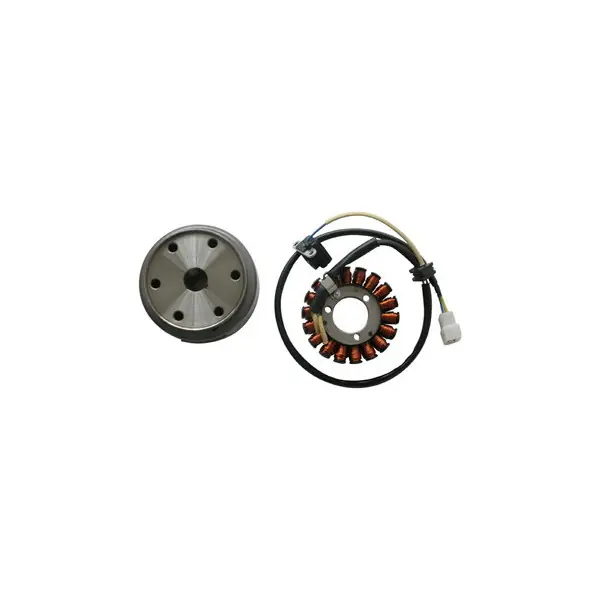 Consegna Rapida Aprilia scarabeo light 4t 125 volano con statore generatore avviamento 2007 2008