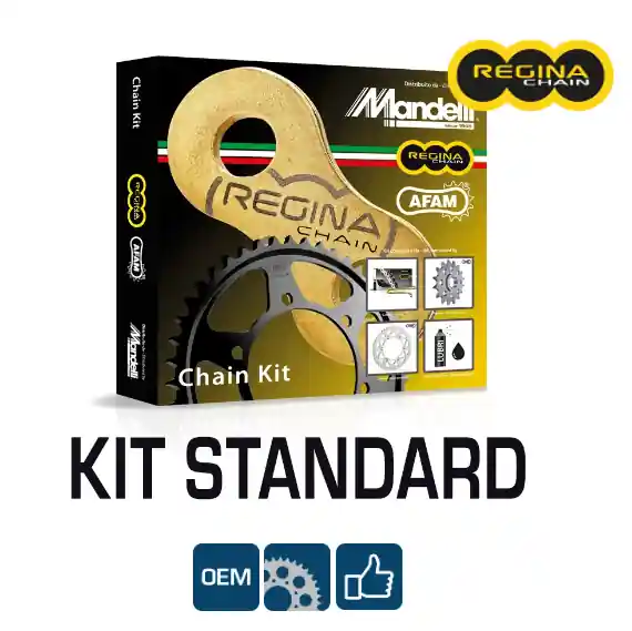 Offerta Limitata Prilia 125 tuareg rally 125 regina kit catena corona pignone 1990 1994