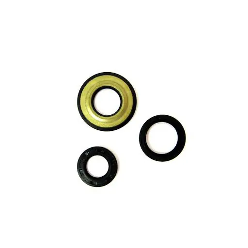 Vespa 50 50 paraoli motore 1957 2017 Ultima Occasione