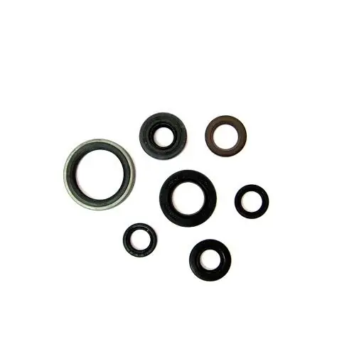 Quantità Limitata Yamaha wr f 250 paraoli motore centauro 2001 2014