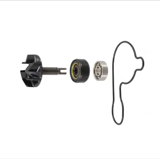 Acquista Ora Yamaha czd300 a x max 300 kit revisione pompa acqua 2017 2017 sh081