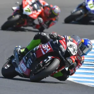 Cupolino fabbri kawasaki zx 10r 2016 2019 wsbk world superbike Prezzo Conveniente