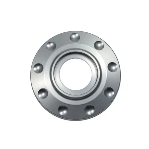 COPERCHIO PARAPOLVERE CANOTTO DI STERZO MOTOCORSE DUCATI PANIGALE V4 SP / SP2 2021-2023- Subito Disponibile