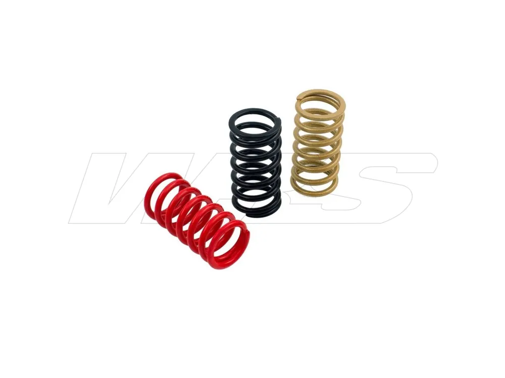 MOLLE FRIZIONE H40 CNC RACING DUCATI 1198 S 2009-10- Offerta Lampo