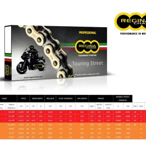 CATENA REGINA 136ZRT PASSO 530 TRIUMPH DAYTONA 1000 91-92- Pagamento Sicuro