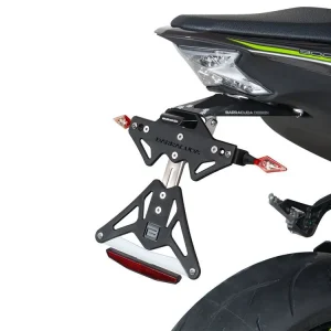 Consegna Rapida PORTATARGA BARRACUDA KAWASAKI Z 900 2017-2023-