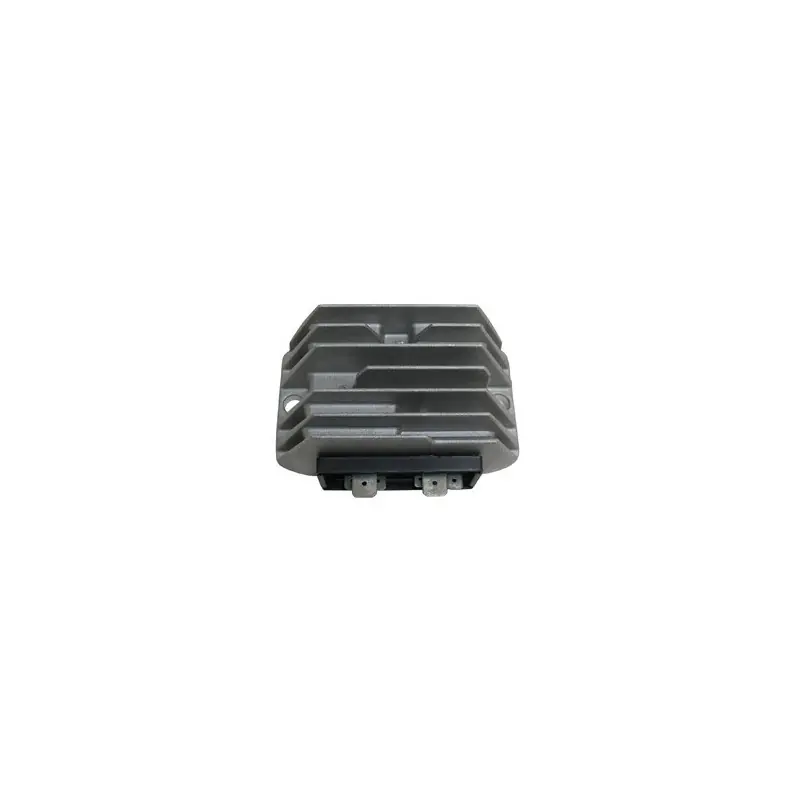 Miglior Prezzo REGOLAT.LOMBARDINI12V-7FASTON C/TERM. W