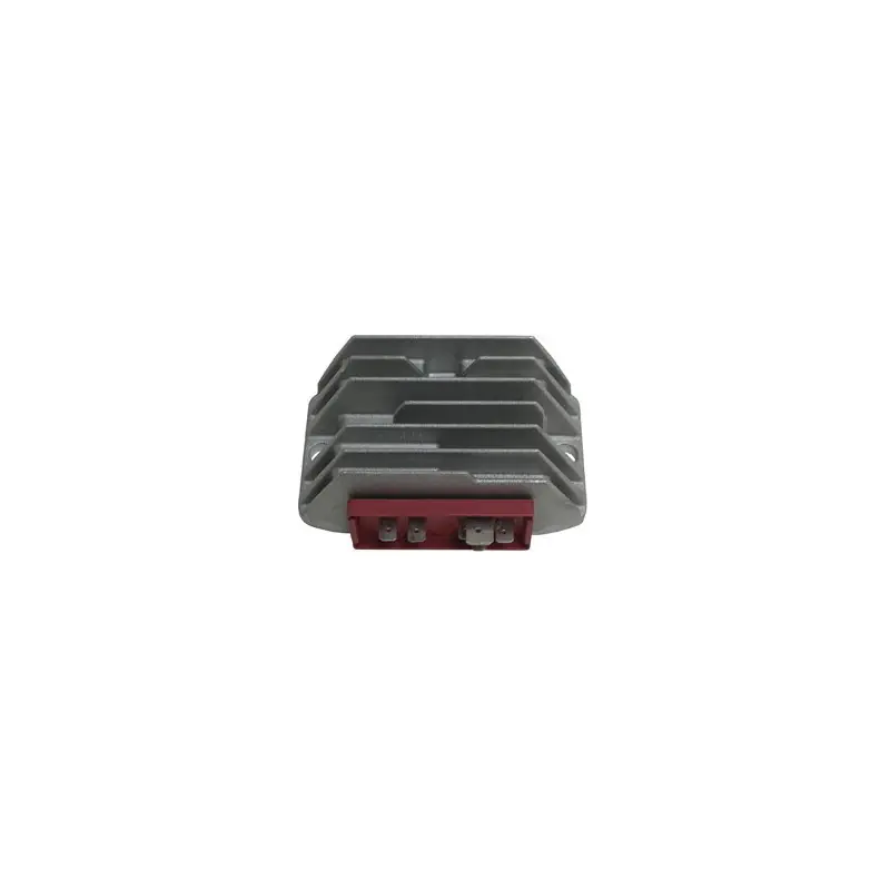 Offerta Del Giorno REGOLAT.LOMBARDINI12V/30A C/TERM.W-PONTE