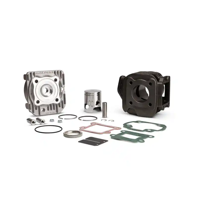GR.TERMICO D.40 GHISA SP.10 MINARELLI VERTICALE Promozione Esclusiva
