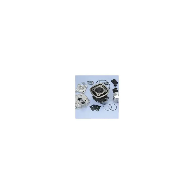 KIT PIAGGIO QUARTZ-NRG H2O D.4 Popolare