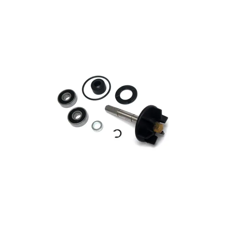 KIT RIPARAZIONE POMPA ACQUA PIAGGIO 50 NRG/RUNNER Offerta
