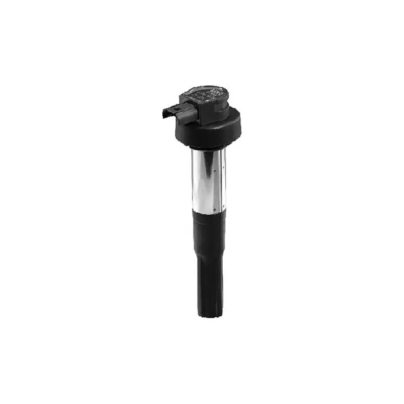 BOBINA BERU ZS386INTEGRATA BMWK1300-F800 Prezzo Conveniente