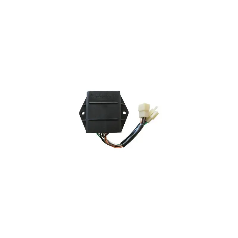 Popolare CENTRALINA SUZUKI GS 500 89/01