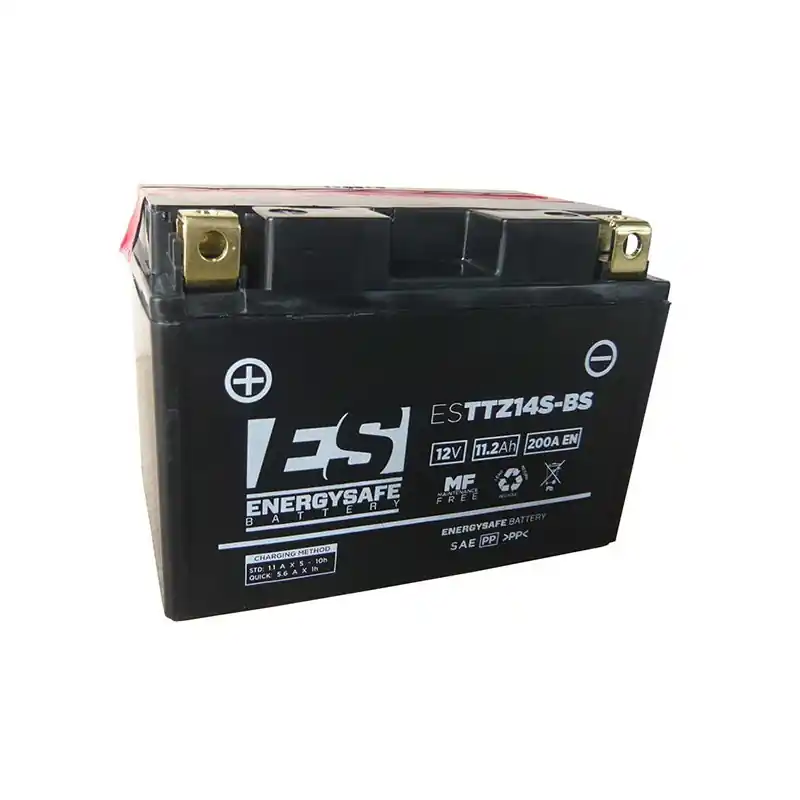 BATTERIA ENERGYSAFE ESTTZ14S-B Economico
