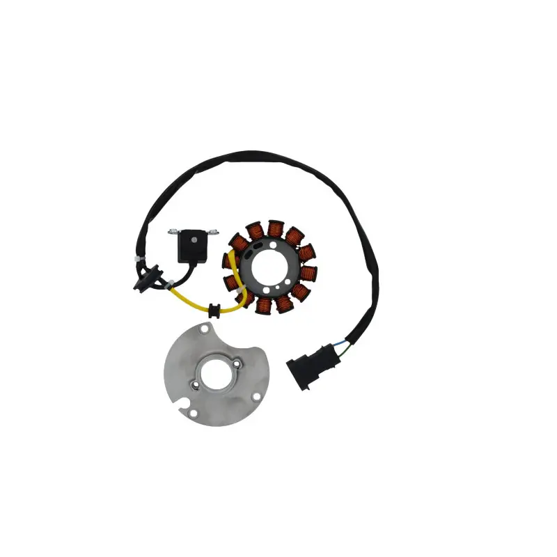 STATORE APRILIA 50 2T RS4-50 RX-50 SX EURO 4 Consegna Rapida