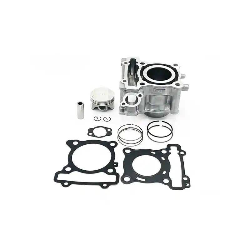 Occasione Imperdibile Cilindro completo yamaha 125 yzf-r - fantic 125