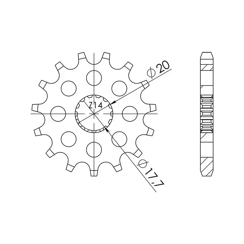 Direttamente Dal Produttore PIGNONE P428 - Z14 (DIS.21202)