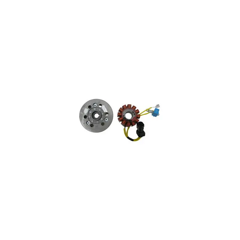VOLANO CPL.APRILIA/PIAGGIO 200 4T Reso Gratuito