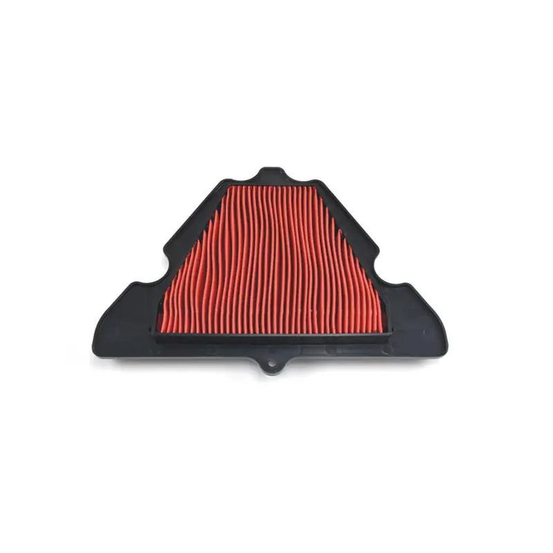 FILTRO ARIA KAWASAKI Z1000SX-KLZ1000 Rif. MIW: K2189 Compra Adesso