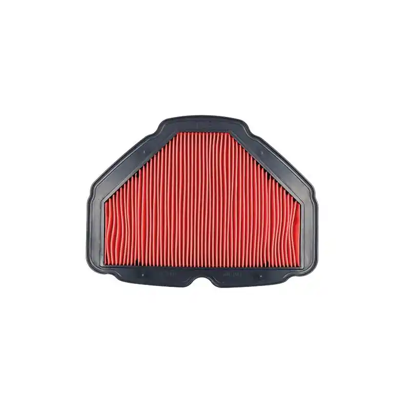 FILTRO ARIA HONDA GL 1800 GOLDWING (18/21) Rif.MIW: H1318 Rif.MIW: H1318 Prezzo Conveniente