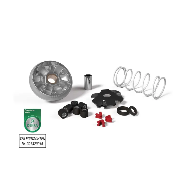 MULTIVAR OMOLOG. SCOOTER Economico