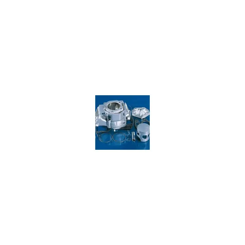 Direttamente Dal Produttore KIT MOTORE ROTAX 122/123 APRIL