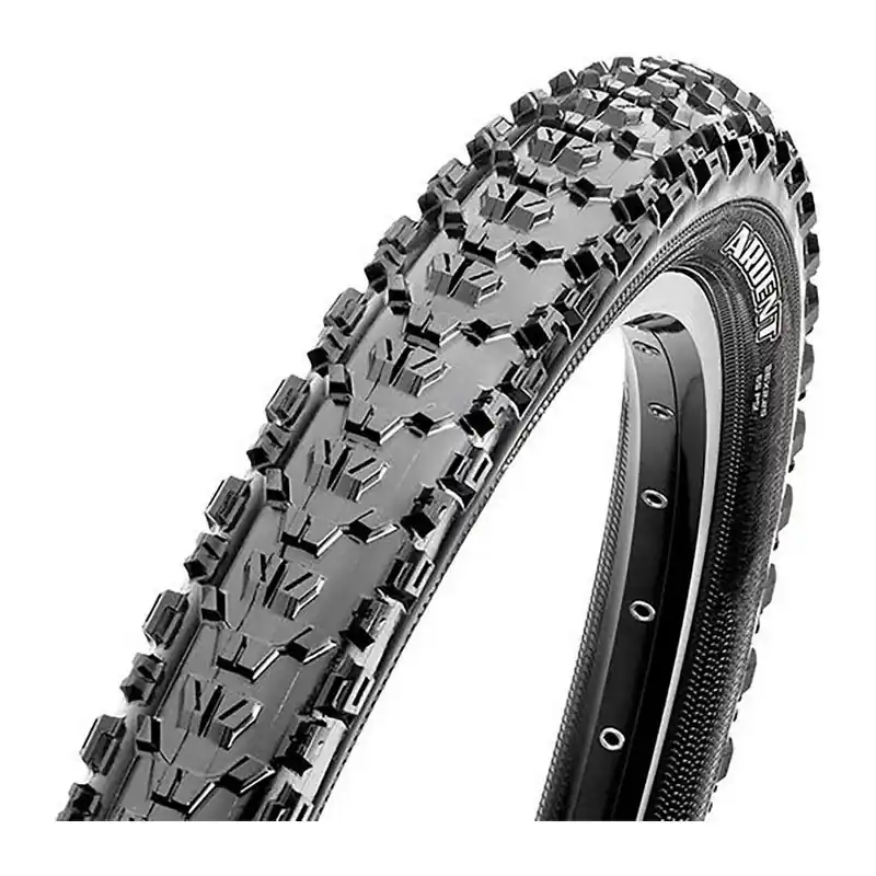 Offerta Limitata COP.Ardent 29x2.40 EXO TR 60TPI pieghevole dual n