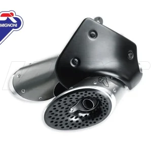 Pagamento Sicuro COPPIA TERMINALI RACING TERMIGNONI INOX DUCATI XDIAVEL 1260 / S 19-20 96480933A-