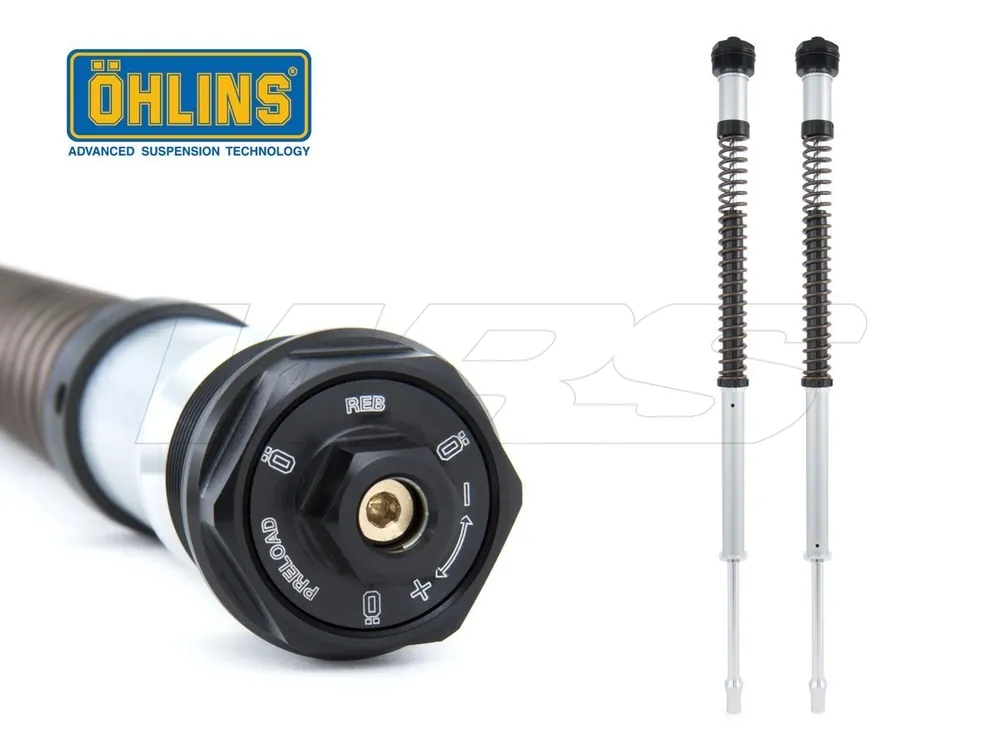 Non Perdere CARTUCCIA FORCELLA OHLINS NIX22 HARLEY DAVIDSON SOFTAIL SLIM 2018-2019-