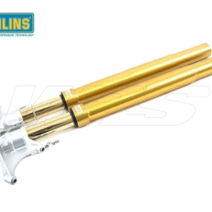 Solo Oggi FORCELLA R&T OHLINS NIX 43MM DUCATI 1199 PANIGALE 2012-2014 ORO-