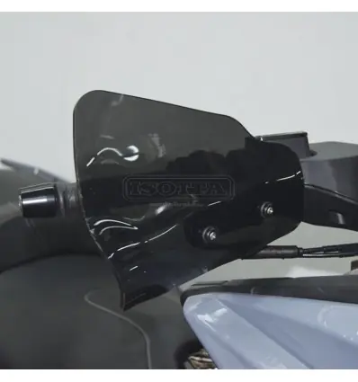 Coppia di paramani Isotta per Kymco AK 550 fino al 2022-Fumè chiaro Occasione