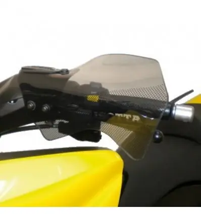 Coppia di paramani Isotta per Yamaha T-Max 500 08-11-Fumè chiaro Novità
