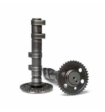 Prezzo Scontato Alberi a camme Malossi Double Power Cam per Yamaha T-Max 560-