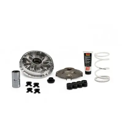 Variatore Malossi Multivar 2000 per Honda SH 350i, ADV 350 e Forza 350i- Super Prezzo