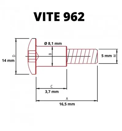 Ultime Pezzi Vite speciale Lightech 962 testa bombata con colletto 5x16,5mm-Argento