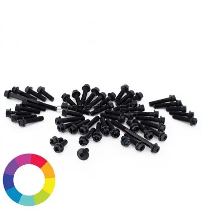 Set bulloneria ergal per carena BMW R-Nine T e R-Nine T Scrambler-Argento Saldi