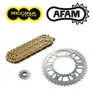 Spedizione Gratuita Kit trasmissione Newfren per Aprilia Dorsoduro 750 09-11-