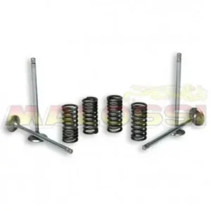 Kit valvole e molle Malossi per testata originale su Aprilia, Gilera, Piaggio 200/300cc- Reso Gratuito