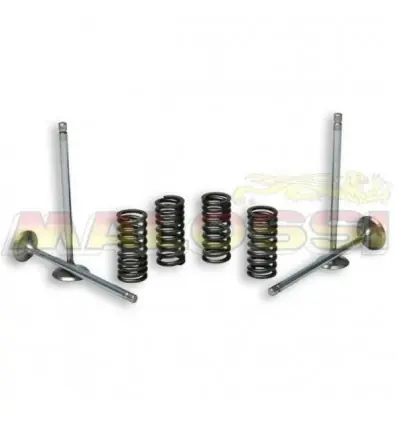 Kit valvole e molle Malossi per testata originale su Aprilia, Gilera, Piaggio 200/300cc- Reso Gratuito