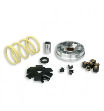 Variatore Malossi scooter 50cc Honda SC, SP, Vision...- Ultima Occasione