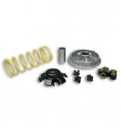 Offerta Limitata Kit Multivar 2000 Malossi Kymco People 250, Grand Dink 250...-