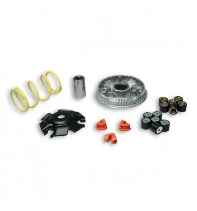 A Buon Prezzo Kit Multivar 2000 Malossi per Honda PCX 125-150 e SH Mode-