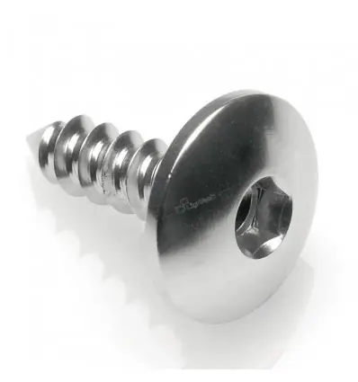 Vite Parker Pac3 in Ergal 5,5x16 testa 14-Argento Non Perdere