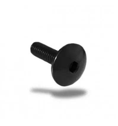 Vite in ergal 003 testa bombata passo 8x15mm-Argento Scelto Dai Clienti