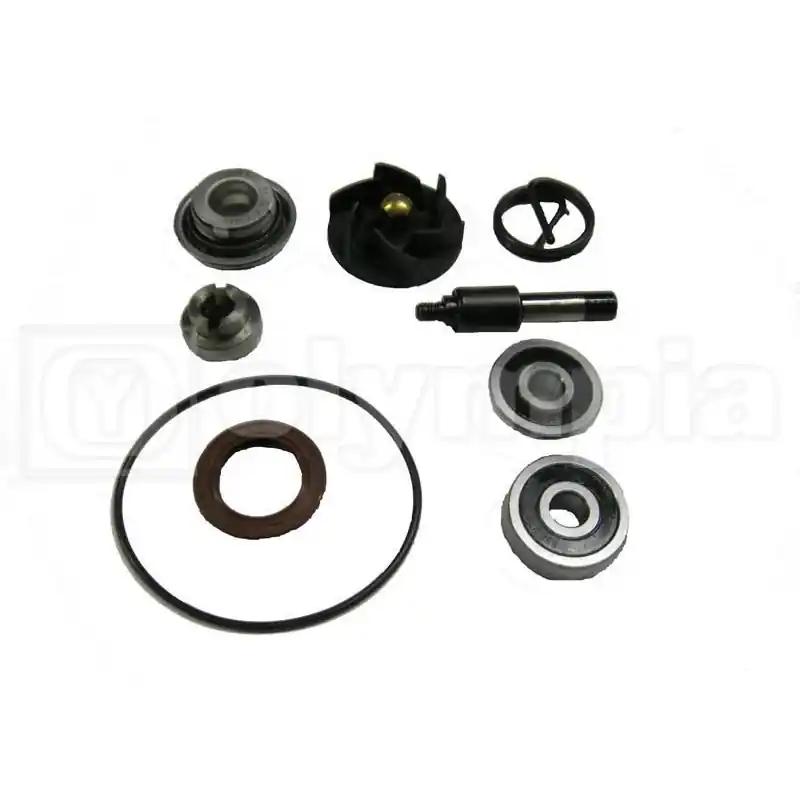 Kit revisione pompa acqua Non Perdere